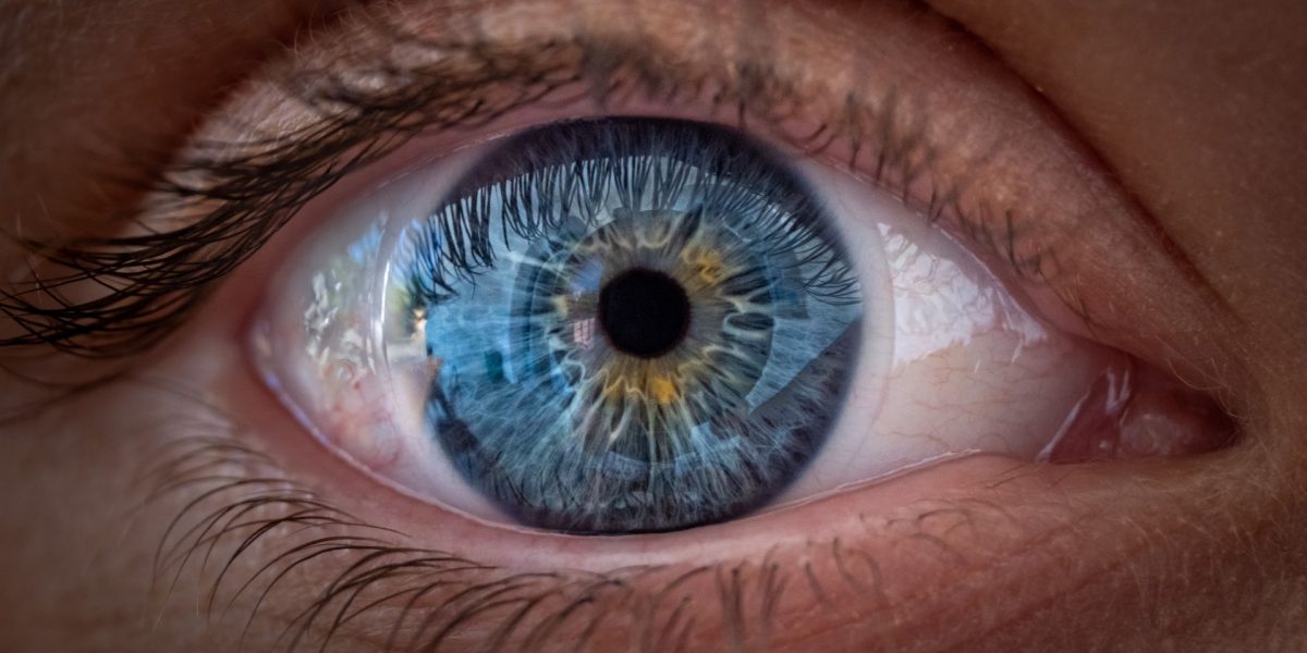 Ochii văd culorile, nu doar claritatea! Studiu șocant