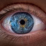 Ochii văd culorile, nu doar claritatea! Studiu șocant