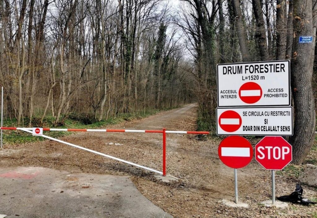 Mașinile, INTERZISE în Pădurea Băneasa: Romsilva blochează accesul auto