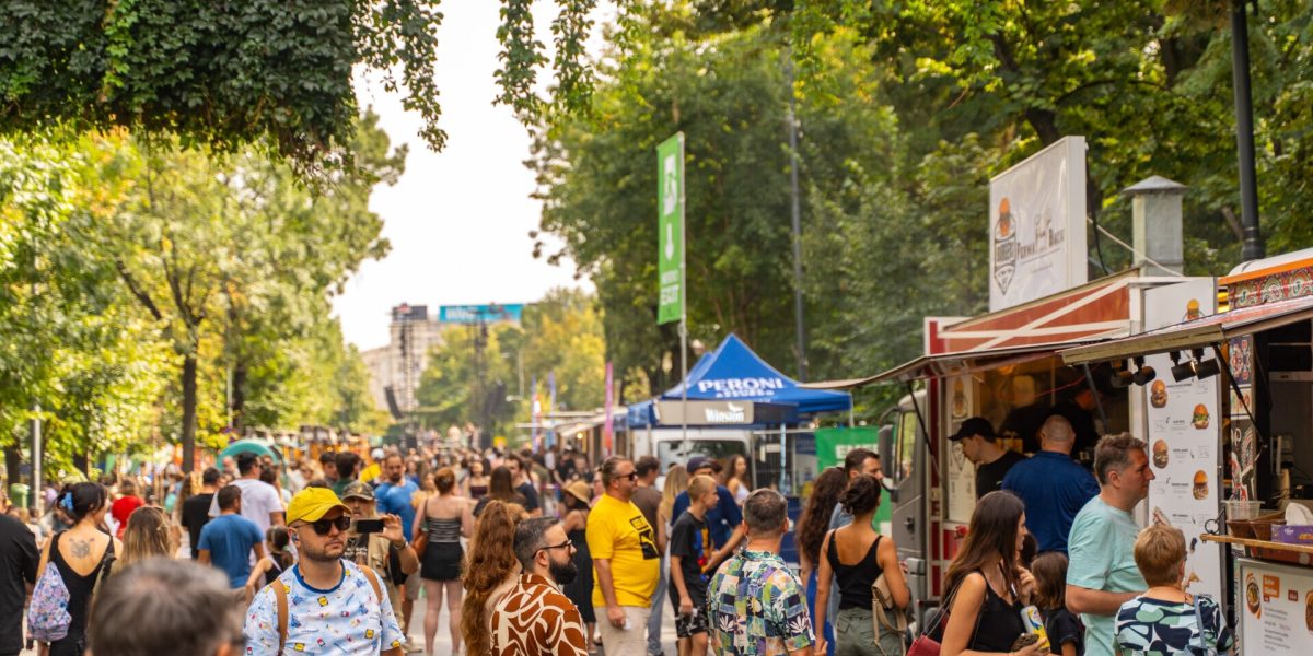 petitie-festivaluri-Bd-Kiseleff.jpg - ReactiveNews