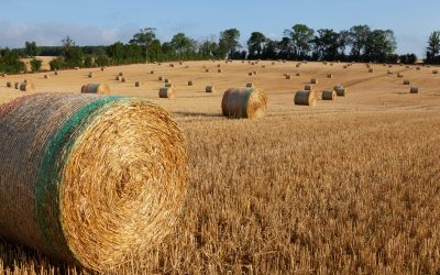 Comisia Europeană, undă verde pentru 300 milioane € ajutor Franței în agricultură