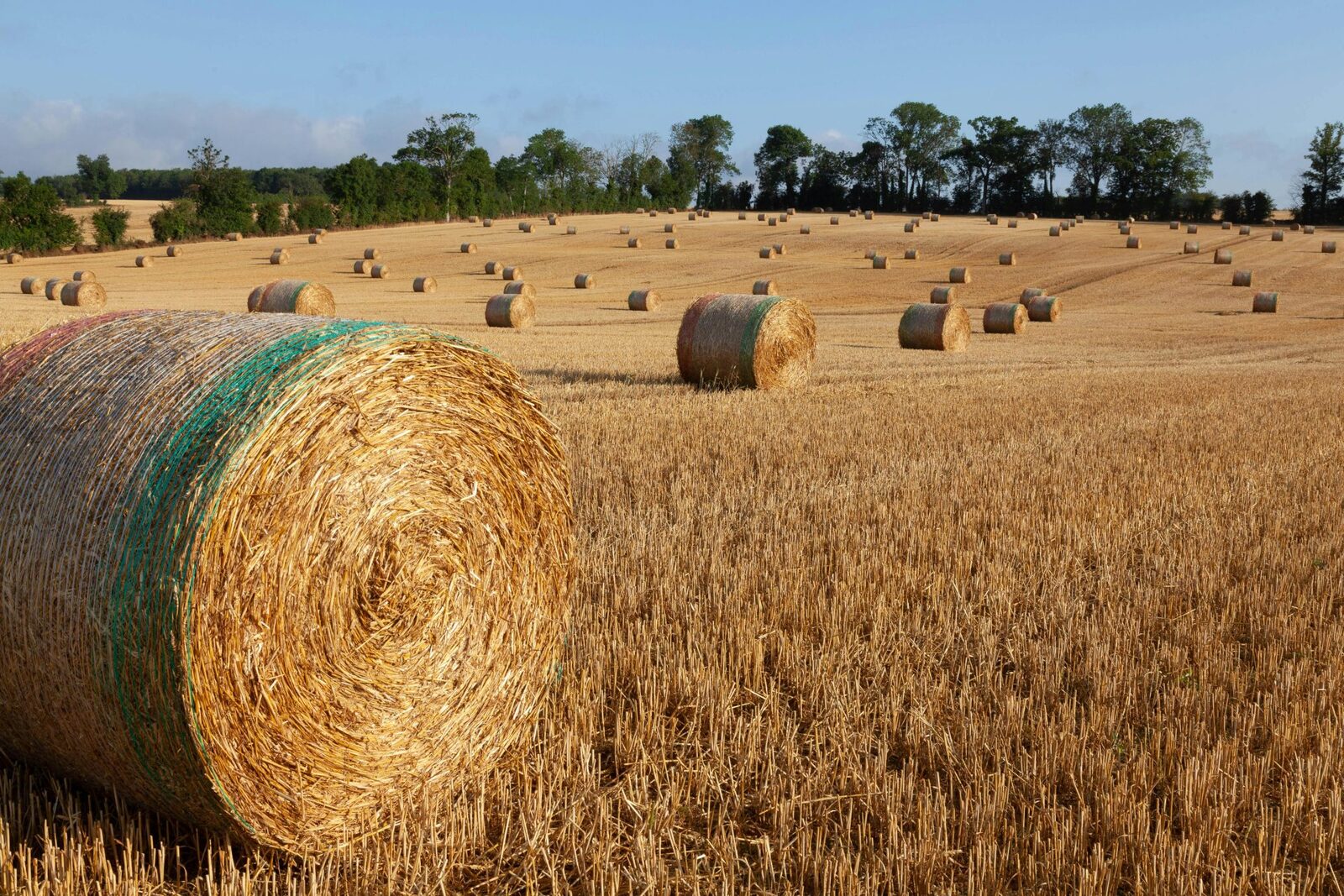 Comisia Europeană, undă verde pentru 300 milioane € ajutor Franței în agricultură