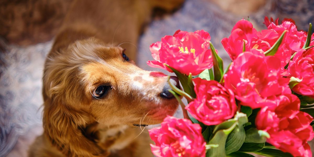 pexels-sb-9341498-scaled.jpg - ReactiveNews