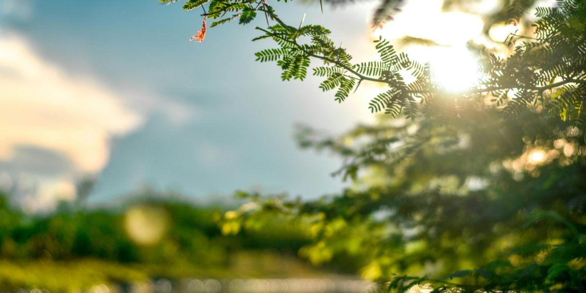 Pielea „iese din iarnă”: Ce pericole ascund primele raze de soare