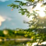 Pielea „iese din iarnă”: Ce pericole ascund primele raze de soare