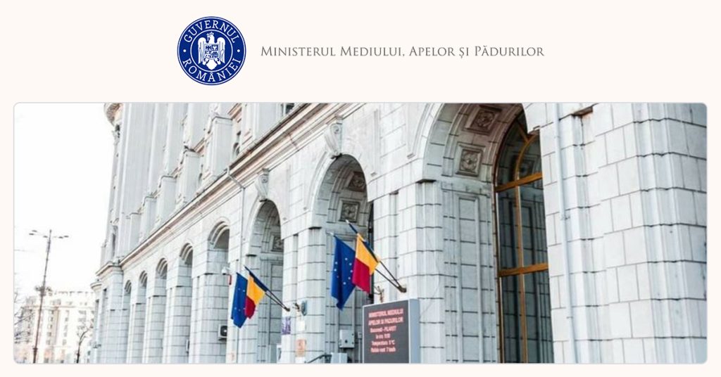 Guvernul se dezbate: Cum vor fi plătite compensațiile pentru lemn