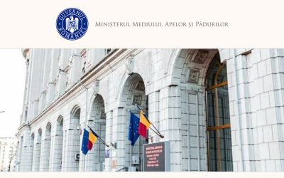 Guvernul se dezbate: Cum vor fi plătite compensațiile pentru lemn