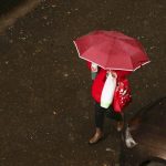 ploaie-inquam-photos-cosmin-enache.jpg - ReactiveNews