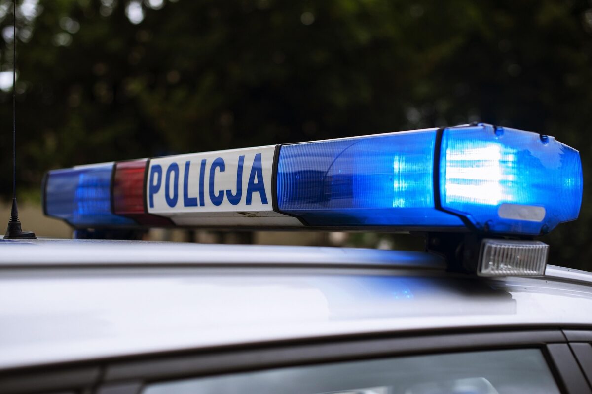 O femeie din Polonia a fost nevoită să fugă de un bărbat dezbrăcat, după ce a încercat să ajute un animal rănit, incidentul fiind relatat de sursa Nexta