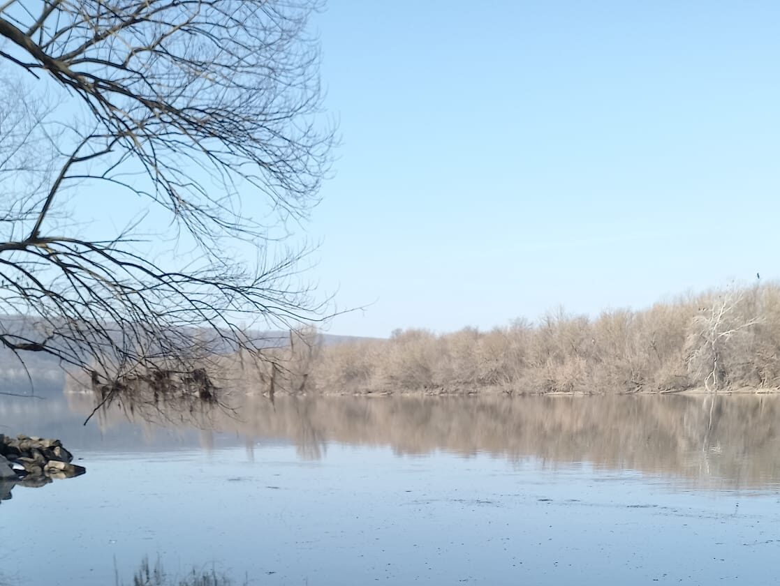 Primăria Iași a mobilizat peste 46.000 de litri de apă potabilă pentru a sprijini municipiile Bălți și Soroca din Republica Moldova, afectate de poluarea râului Nistru