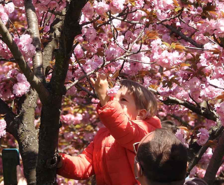 Vânt puternic: Rafalele vor atinge 90 km/h în București și prin România