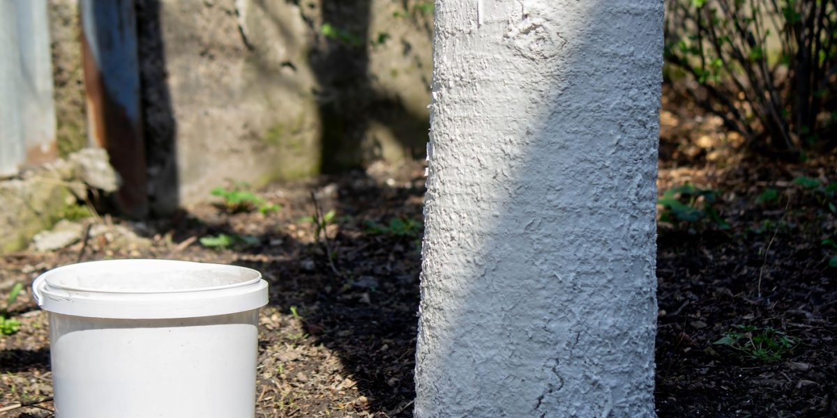 profimedia-0986524313.jpg - ReactiveNews