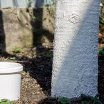 profimedia-0986524313.jpg - ReactiveNews