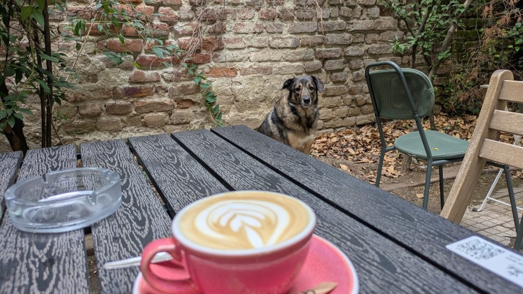 Agenda Urbană: Cosmin, recomandări culturale pentru București (24-30 aprilie)