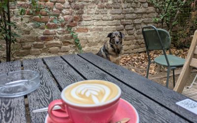 Agenda Urbană: Cosmin, recomandări culturale pentru București (24-30 aprilie)