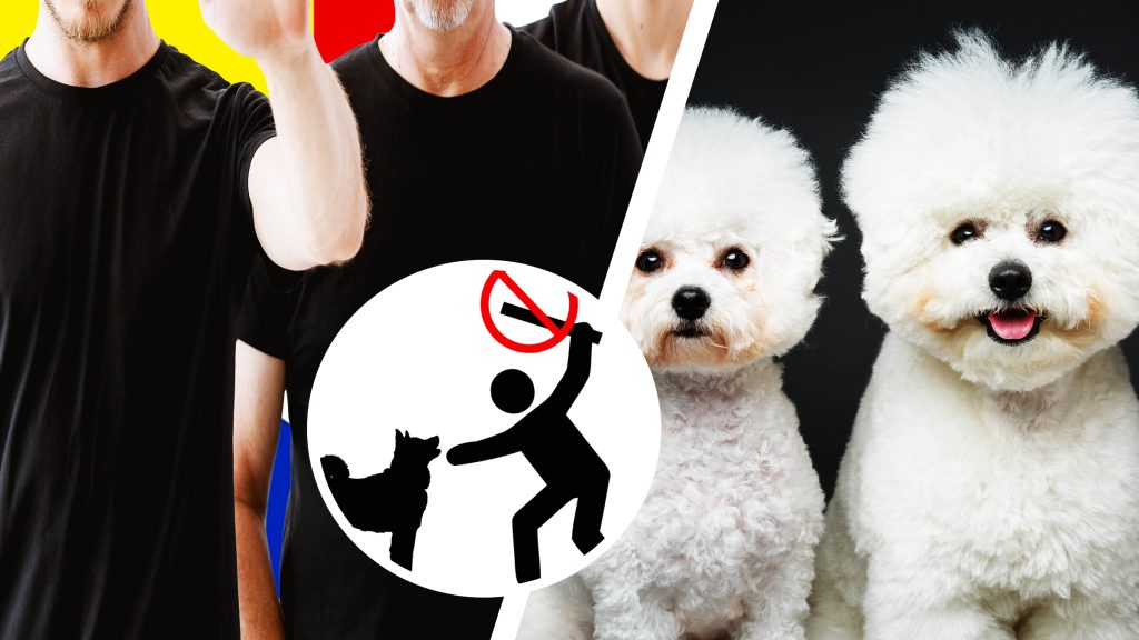 Bandă de români, acuzați că mutilau cățeluși pentru asigurări în Anglia