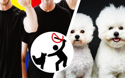 Bandă de români, acuzați că mutilau cățeluși pentru asigurări în Anglia