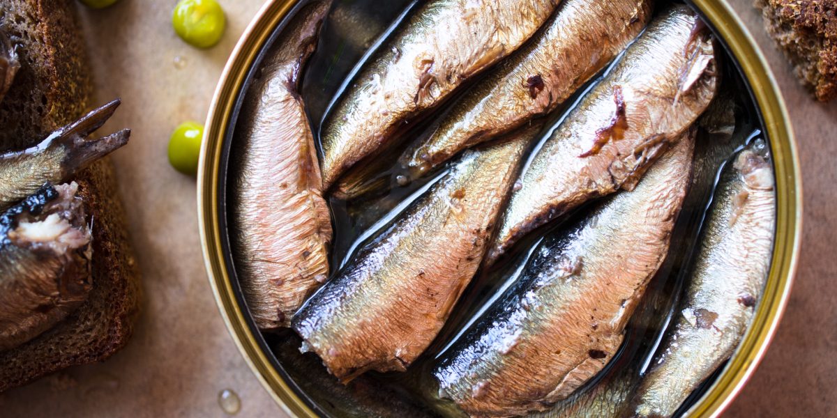 sardine.jpg - ReactiveNews