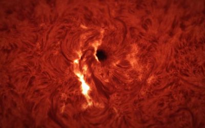 Sunetul unei erupții solare: un horror cosmic care îngrozește