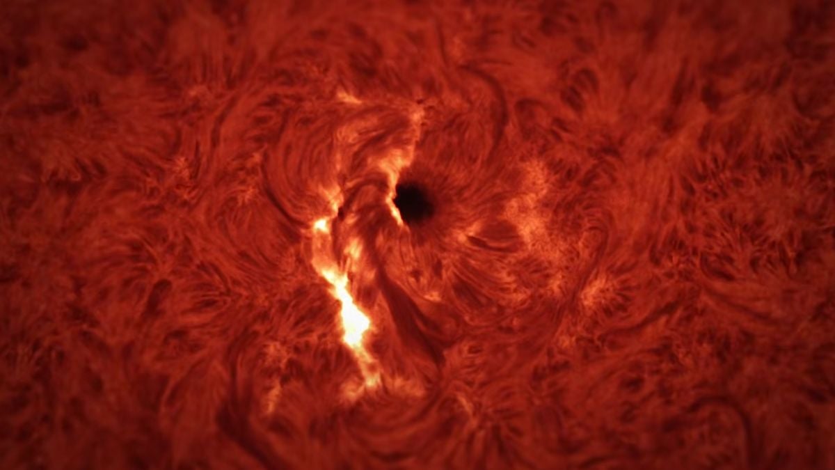 Sunetul unei erupții solare: un horror cosmic care îngrozește
