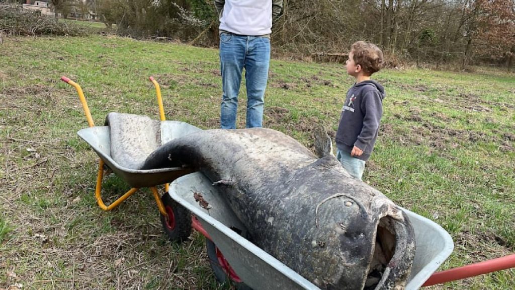 Somn uriaș în Germania: Legendă confirmată, descoperire uluitoare