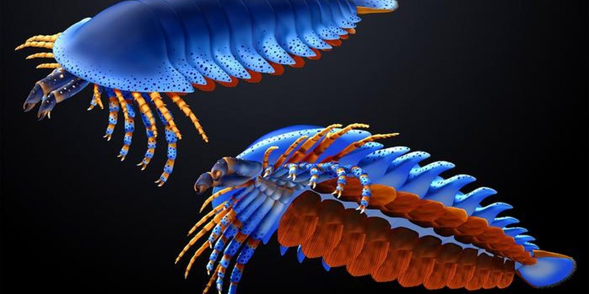 specie-de-paianjen-preistoric_Masato-Hattori_Harvard-University_eurekalert_Descopera.jpg - ReactiveNews