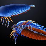 specie-de-paianjen-preistoric_Masato-Hattori_Harvard-University_eurekalert_Descopera.jpg - ReactiveNews