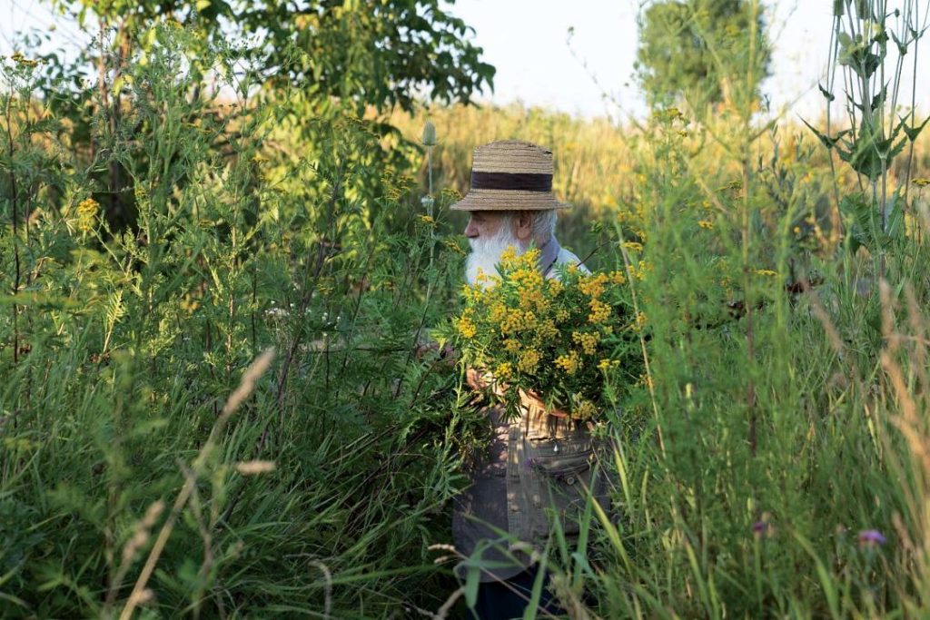 CÂLȚIA revine la Sibiu: Expoziția care explorează temele recurente