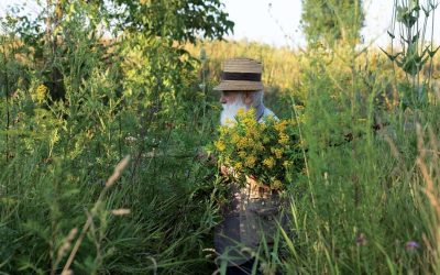 CÂLȚIA revine la Sibiu: Expoziția care explorează temele recurente