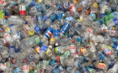 RetuRo, pe urmele ambalajelor: lactate, sos, oțet, borș. Schimbare majoră