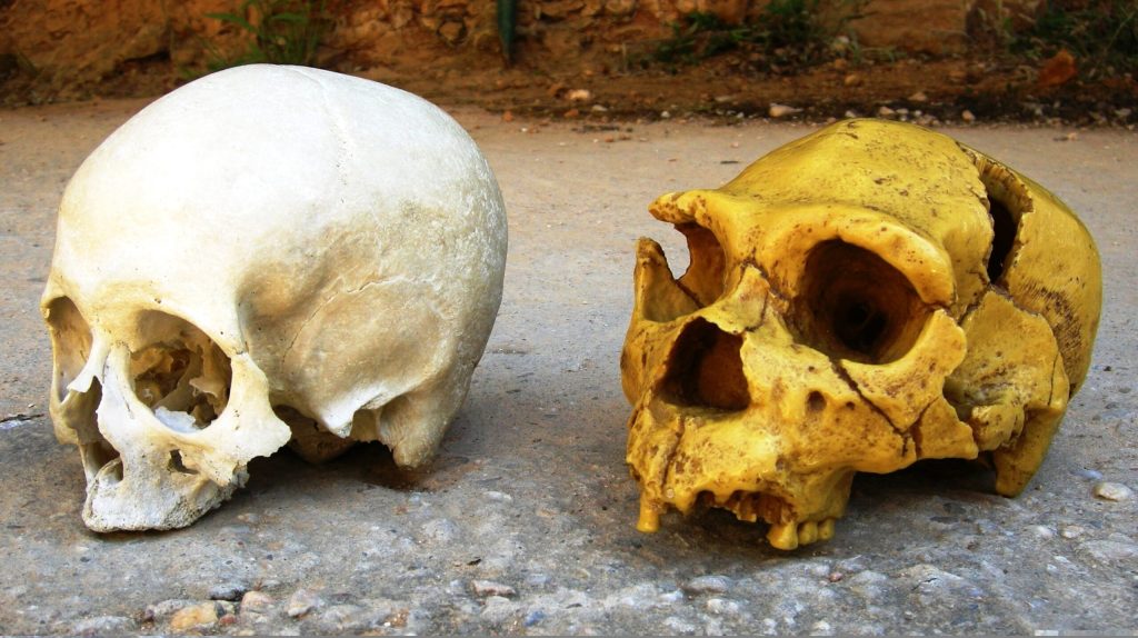 Neanderthalienii: Moștenirea genetică ce ne influențează viața și azi