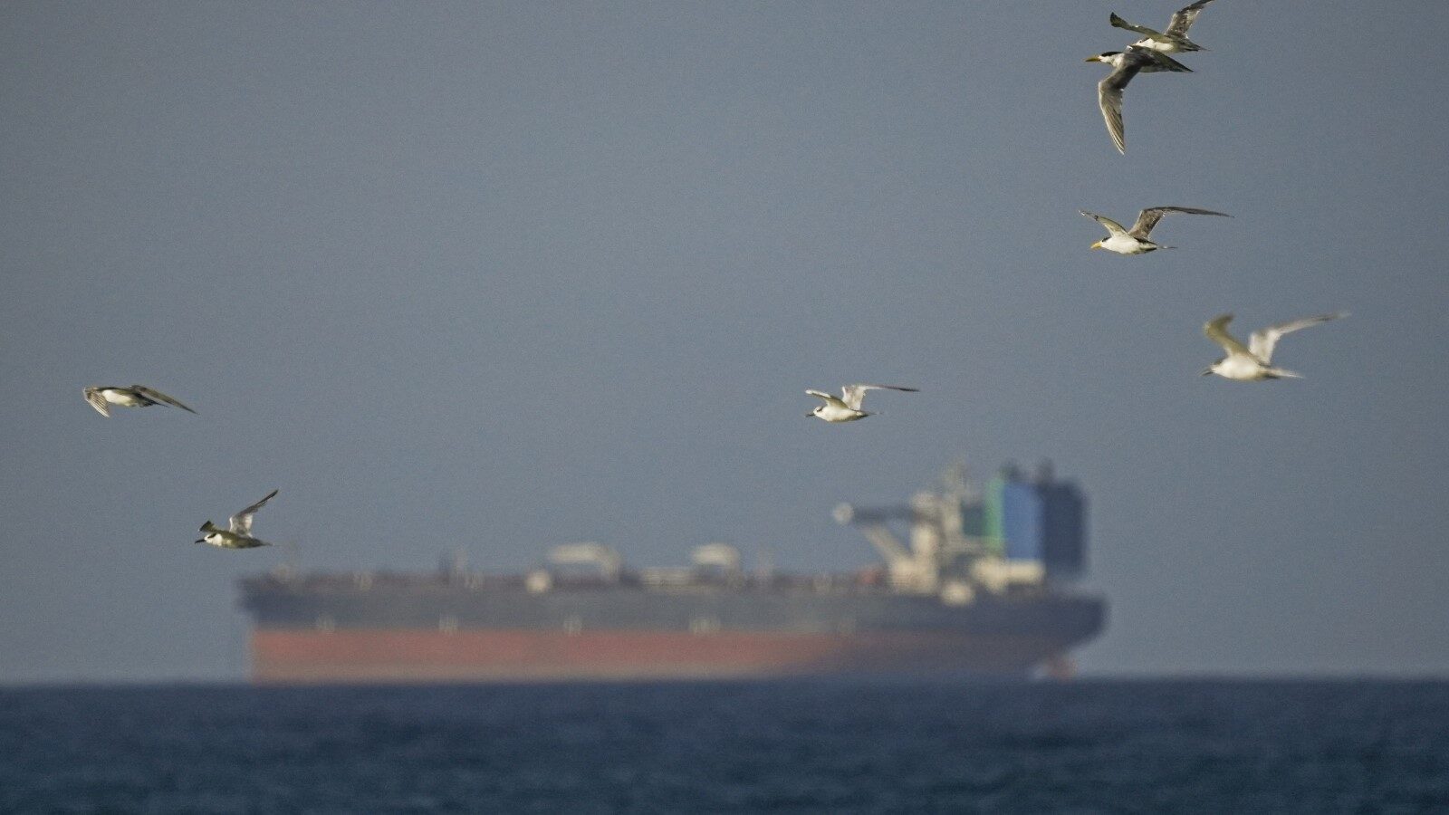 Irakul deschide coridor maritim sigur prin Strâmtoarea ORMUZ