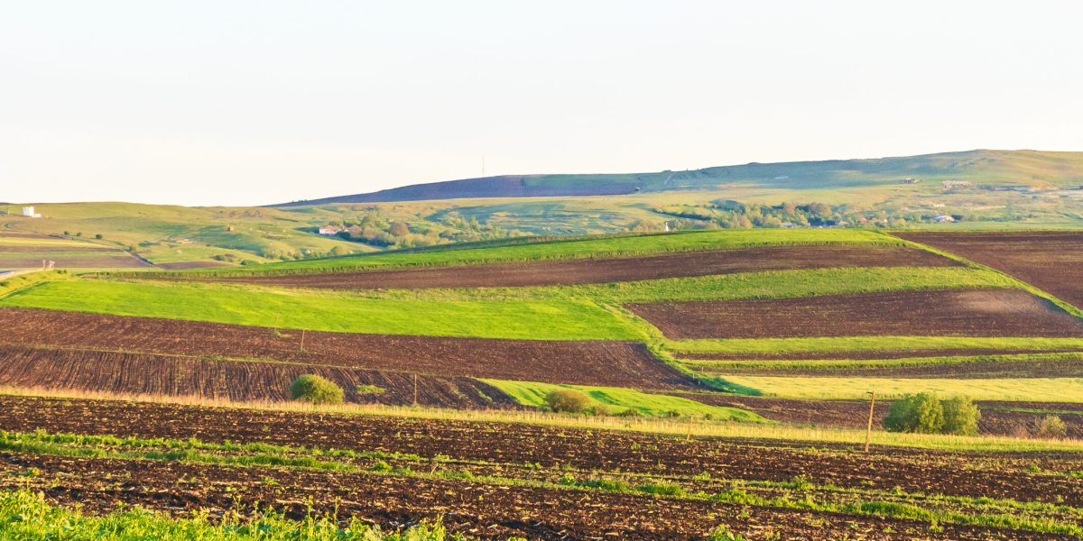 Arendarea terenurilor în 2026: Ce drepturi au fermierii și proprietarii