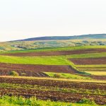 Arendarea terenurilor în 2026: Ce drepturi au fermierii și proprietarii