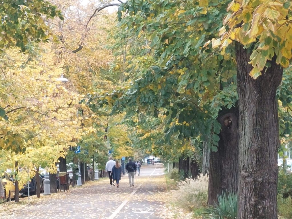 Campanie Declic: Sectorul 4, parc cu numele lui Donald Trump? Cererea este Maria Cuțarida-Crătunescu