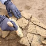 Sanctuar roman ascuns lângă Frankfurt: Ritualuri șocante ies la iveală