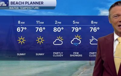 urlhttp3A2F2Fewscripps-brightspot.s3.amazonaws.com2F392F5a2F0900c55a484b84a6649bbeccb5a02Fp.jpeg - ReactiveNews