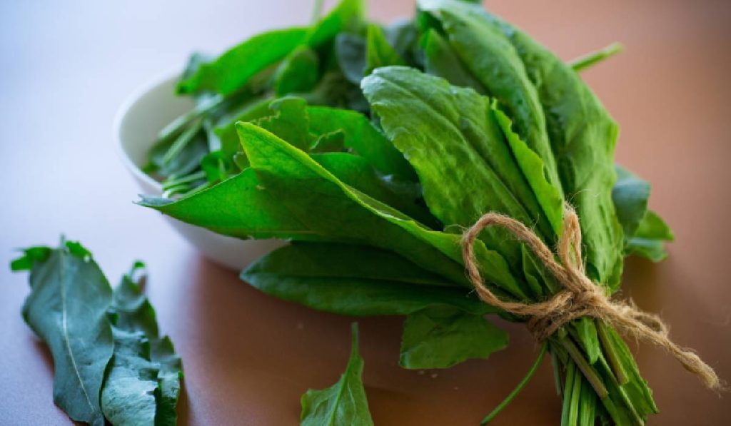 Verdețurile scad tensiunea: Secretul unei inimi sănătoase, confirmat de studii