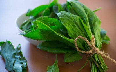 Verdețurile scad tensiunea: Secretul unei inimi sănătoase, confirmat de studii