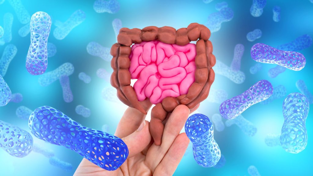 Proteina din intestin combate bacteriile periculoase prin mecanisme duale Proteina intelectină-2 a fost descoperită ca având o activitate esențială în combaterea bacteriilor din intestin