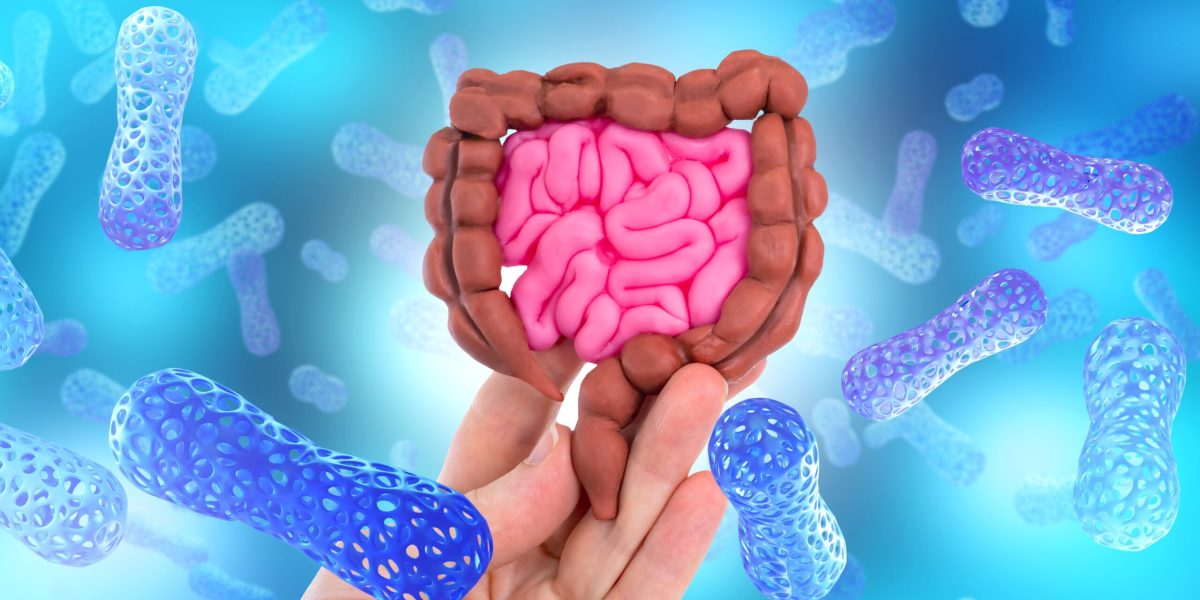 O proteină din intestinul tău combate o luptă cruntă cu bacteriile