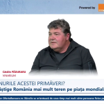 Ce vinuri românești alegem de sărbători? Un expert dezvăluie secretele Feteștii Negre