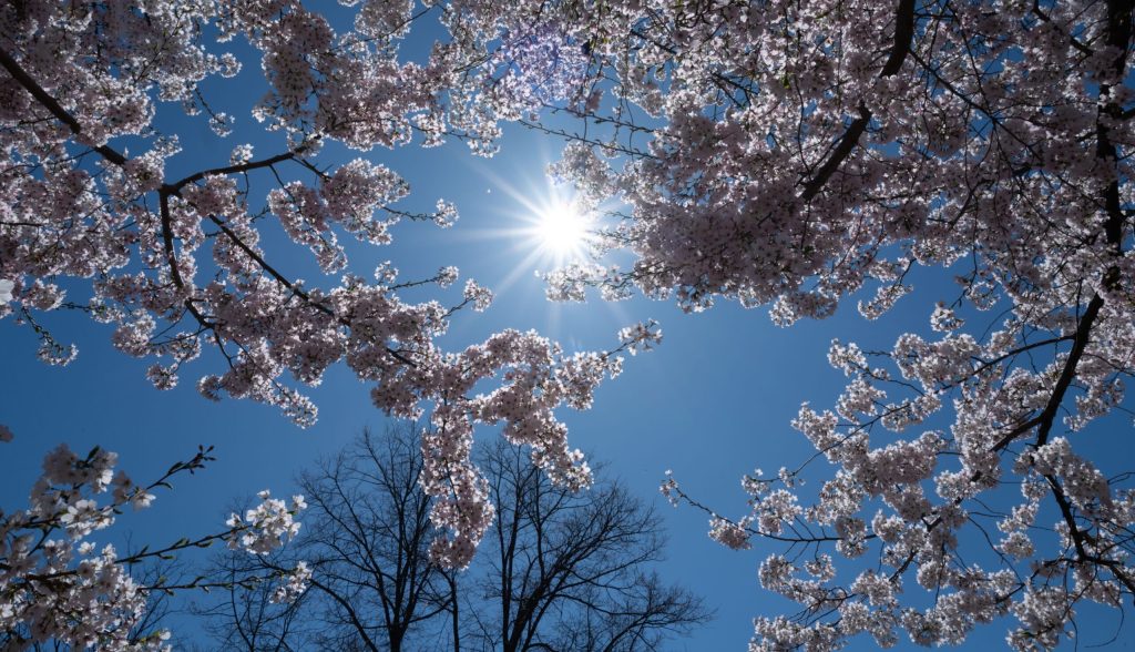 Meteo: Cum va fi vremea de 1 Mai în România și-n Europa