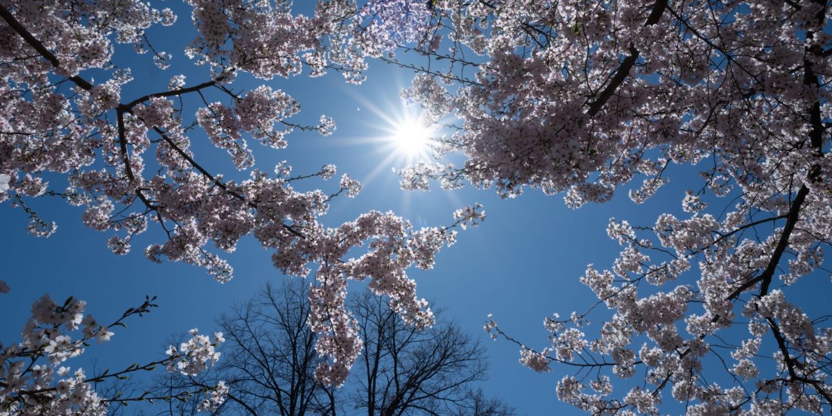 Meteo: Cum va fi vremea de 1 Mai în România și-n Europa