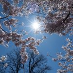 Meteo: Cum va fi vremea de 1 Mai în România și-n Europa