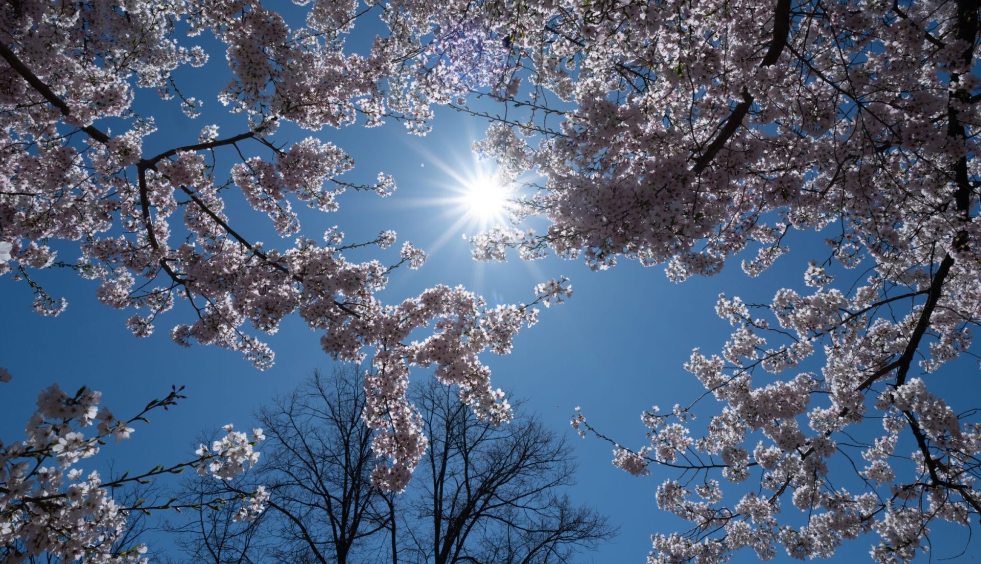Meteo: Cum va fi vremea de 1 Mai în România și-n Europa