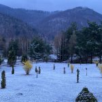 Zăpada mieilor în Bihor: Ninsoare neașteptată înaintea Paștelui