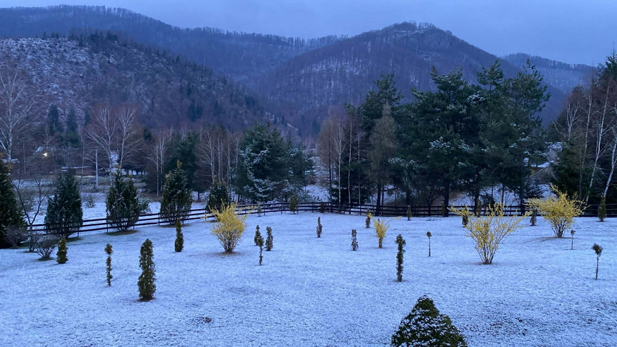 Zăpada mieilor în Bihor: Ninsoare neașteptată înaintea Paștelui