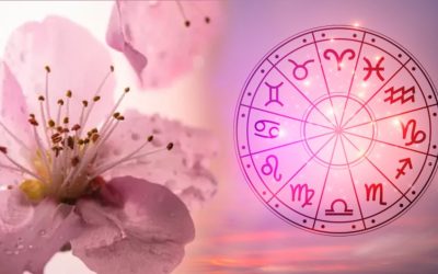 Tauri: Sfârșit de relații toxice, Fecioarele strălucesc pe 15 aprilie