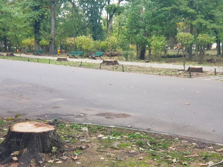 Bucureștenii decid viitorul Parcului Herăstrău: Sondaj după restaurare